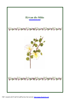 Ervas do Sitio.pdf